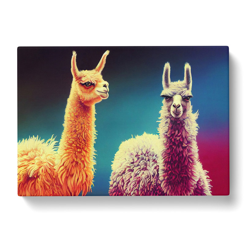 Epic Llamas - Wrapped Canvas, 35cm H x 50cm W x 3cm D
