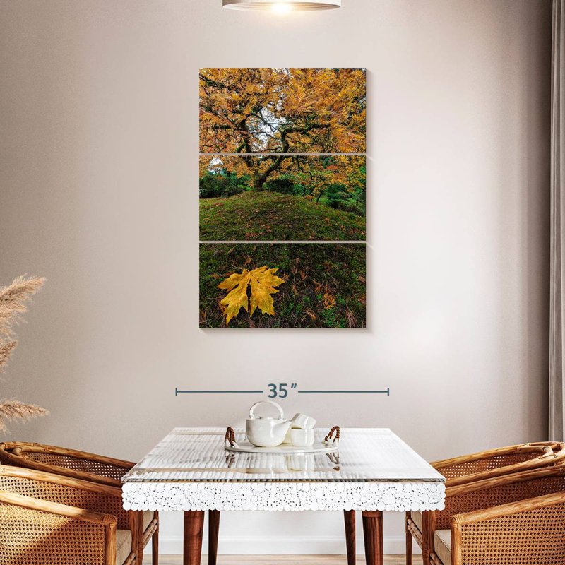 Harnek Japanese Maple Tree Autumn, 45" H x 28" W