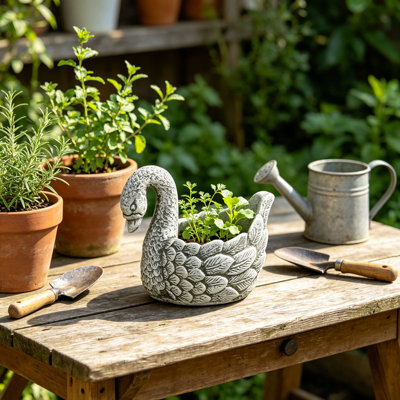 Jardinières Swan