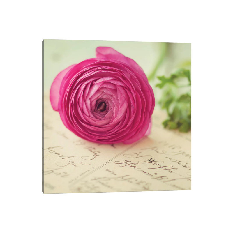 Flora III by Mandy Lynne - Wrapped Canvas Print, 45.72 cm H x 45.72 cm W x 1.91 cm D
