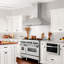 60" Professional Stainless 500 CFM Ducted Wall Mount Range Hood in Stainless Steel