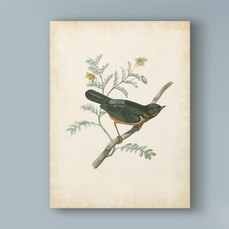 « délicat oiseaux iii », reproduction de peinture à l’huile sur toile tendue, H 47 po x l 35 po x P 2 po