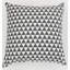 Aunson Chevron Square Scatter Cushion