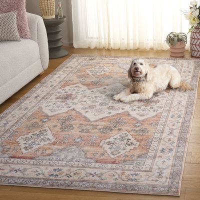 Atianna Performance Oriental Rug