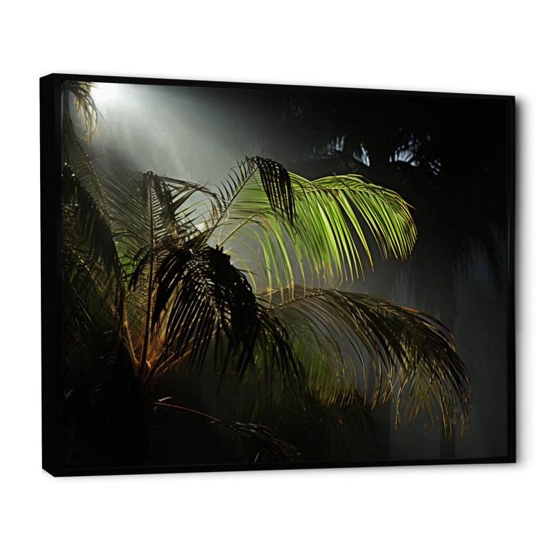 «Palm Trees Palm II», reproduction sur toile, H 16 po x l 32 po x P 1 po, Cadre flottant noir