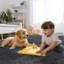 Atlin Area Rug-1652604366