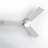 Rodrick Ceiling Fan with LED Lights-90781355-90781354