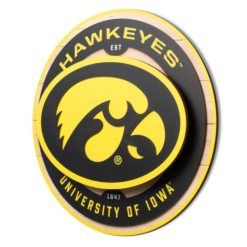 NCAA Iowa Hawkeyes 3DX Circle Wall Art