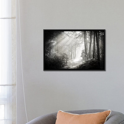 Into the Forest II par Dorit Fuhg - reproduction de photo