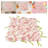 Silk Backdrops & Signs