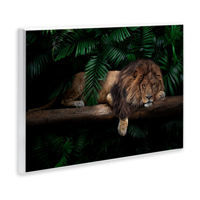 Lion on Tropical Branch Wall Plaque Art by Reinders