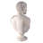 Grand Handmade and Hand Finishing Resin Bust Decorative Object