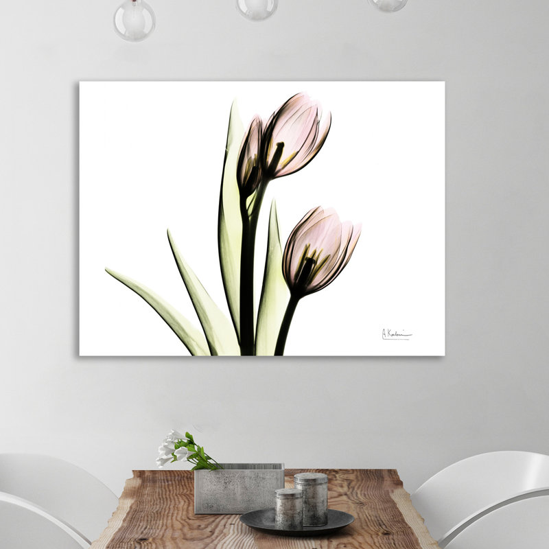 Tulip Love H37 - Wrapped Canvas Print, 61 cm H x 81 cm W