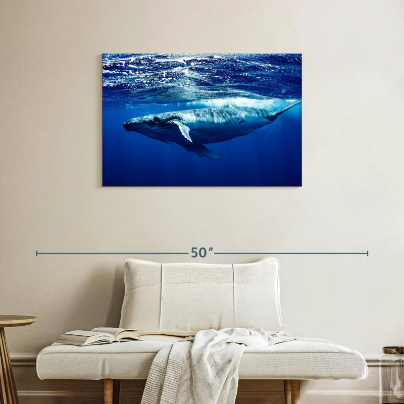 Brampt Humpback Whale Below Surface, 24'' H x 36'' W