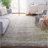 Alpine Performance Oriental Rug-619211636