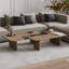 Toro 2 Pieces of Coffee Table-1321656951
