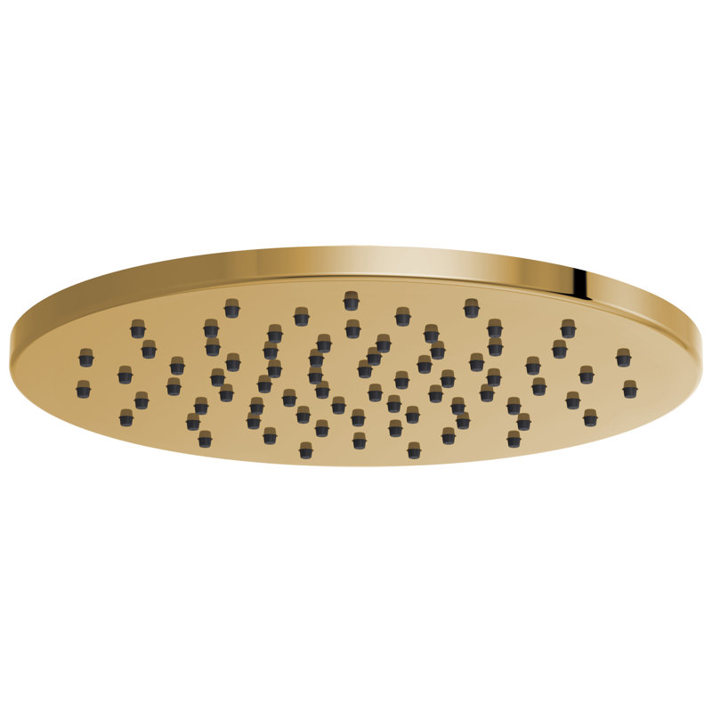Essential™ Rain Adjustable Shower Head, 1.75 GPM, Polished Gold