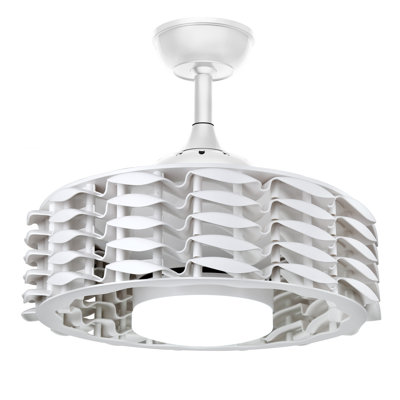 Ceiling Fan with LED Lights