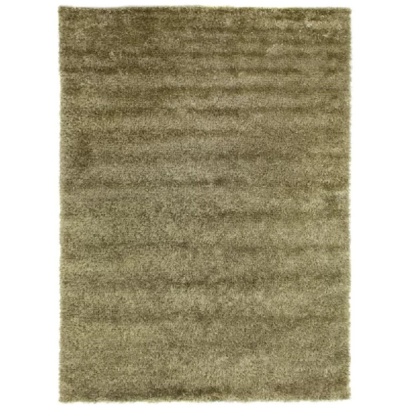 Viscose Shaggy Area Rug in Beige, Rectangle 10' x 14'