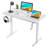 Katharien Adjustable Height Steel Standing Desk-1438939988