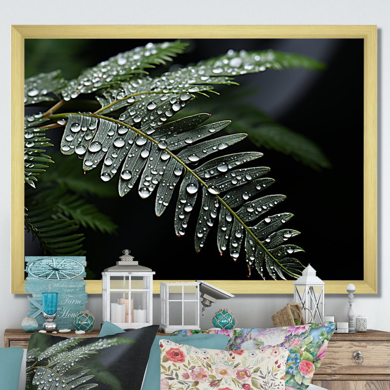 «Ferns Charm in Winter», reproduction sur toile, Cadre doré simple, H 34 po x l 44 po x P 1,5 po