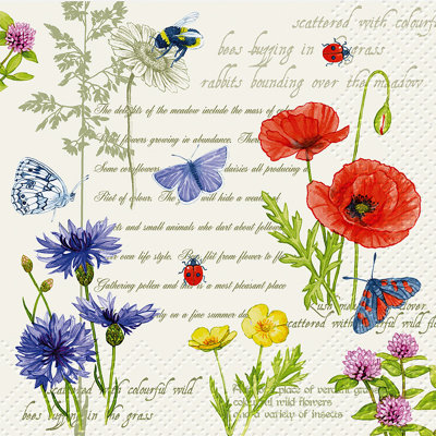 Serviettes jetables en papier Basic