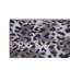 Tapis gris à motif animalier Erihn-1554156507