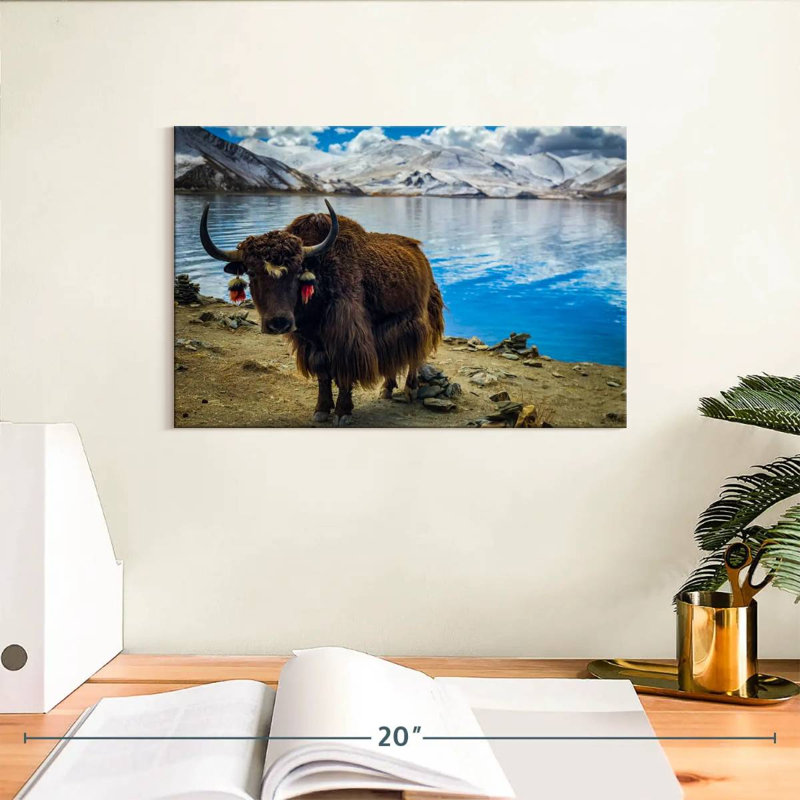 Crowle Tibetan Yak, 8" H x 12" W