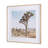 Joshua Tree 3 by THE Studio a Framed Art Print Matted under Glass