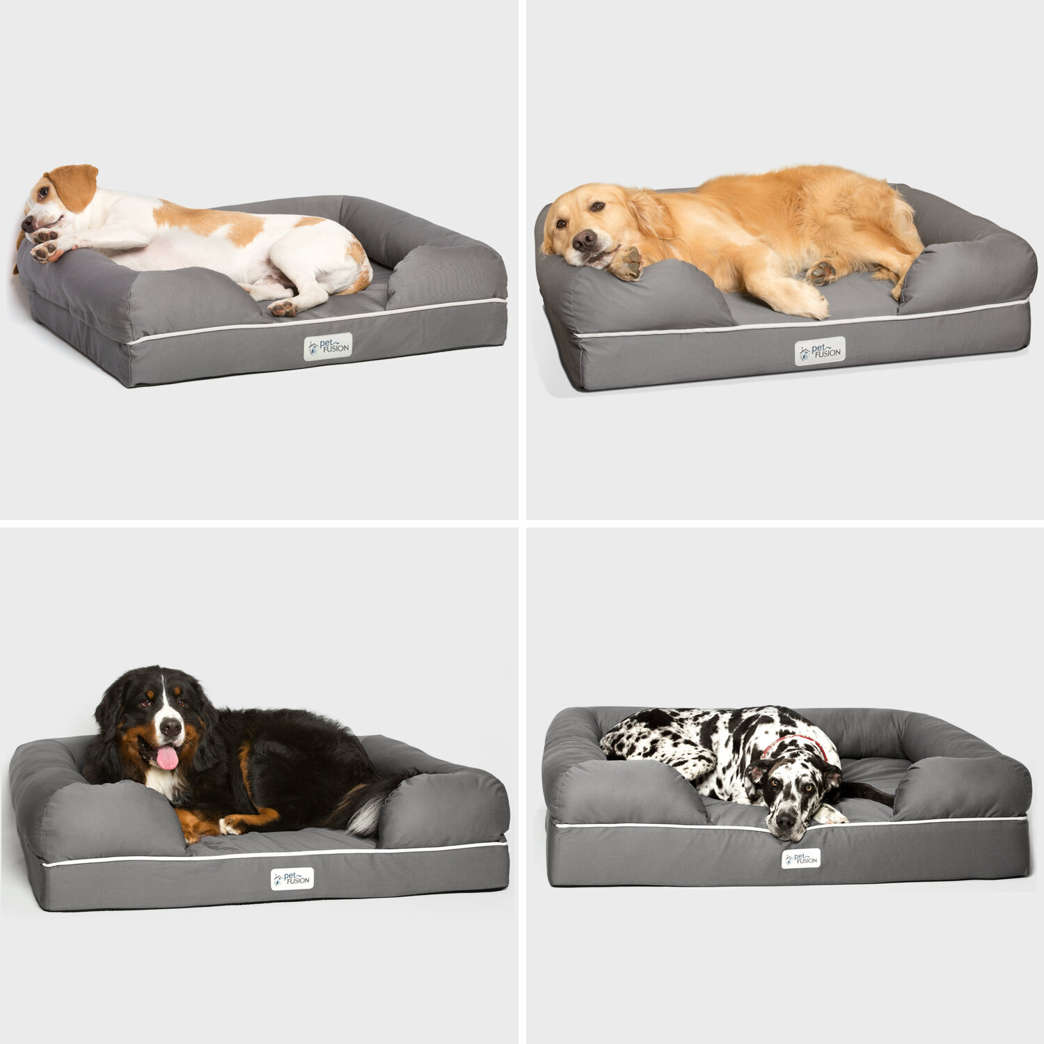 Petfusion dog bed shops sizes