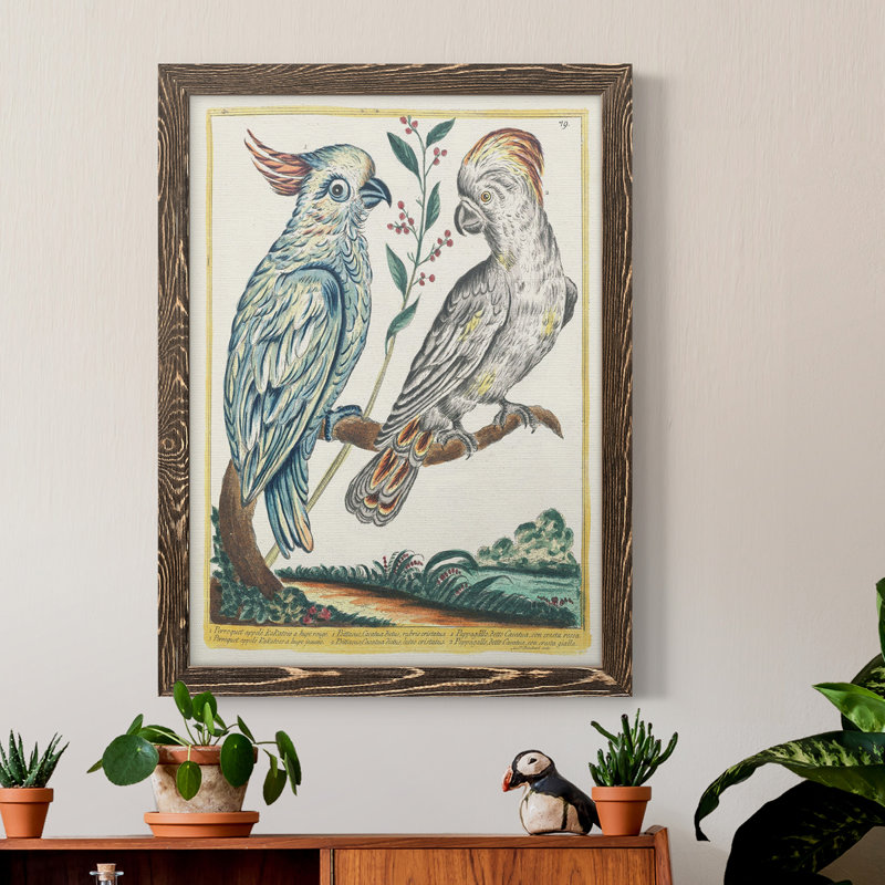 «Pastel Birds I», toile encadrée de qualité supérieure - prête à être accrochée, Noyer, H 32 po x l 23 po x P 1 po