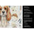 Blenheim Cavalier Spaniel Coffee Bar Kitchen Towel-1168063329