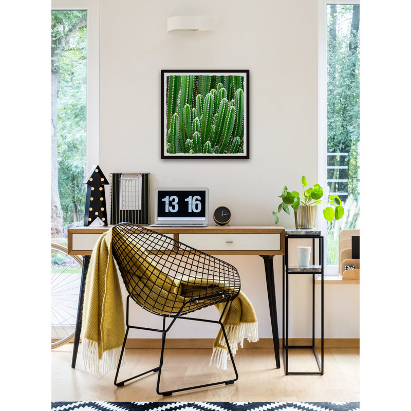 Prickly Field - Single Picture Frame Painting, 51 cm H x 51 cm W