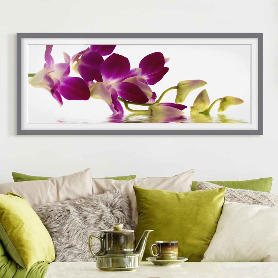 Gerahmtes Poster Pink Orchid Waters