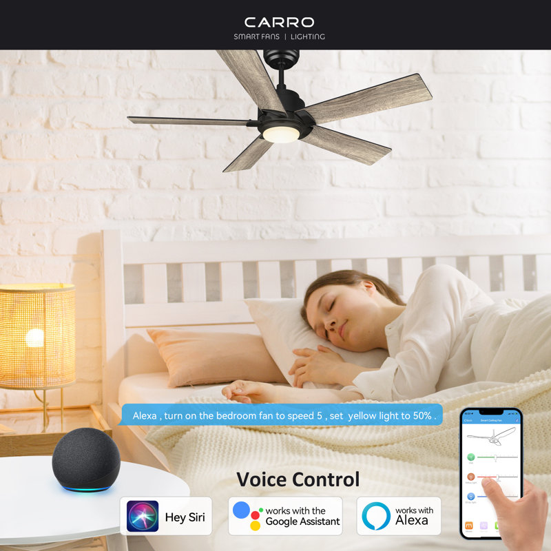 Ventilateur de plafond intelligent avec télécommande, ensemble d'éclairage, fonctionne avec l'assistant Google et Amazon Alexa, raccourci Siri.