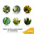 Costa Farms Grower's Choice Snake Plant Indoor House Plant in 5-inch Self-Watering Pot