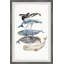 «Hartshorne Whale Species», reproduction encadrée-1590993625