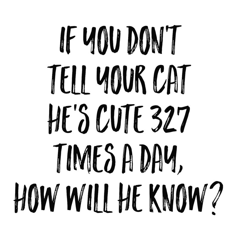 «Cute Cat», art textuel sur toile tendue, H 12 po x l 12 po