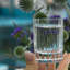 Bach 2.25 oz. Glass Shooter