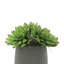 Plante artificielle dans un vase Rockridge-1432359834