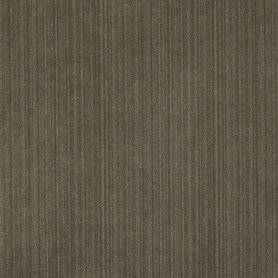 Plush Strie Fabric