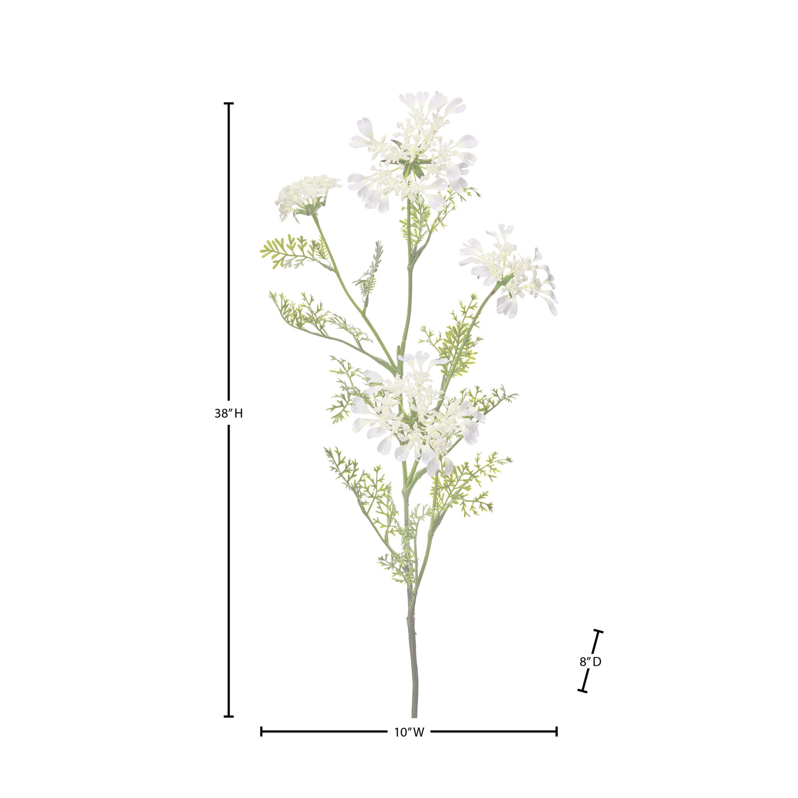 Field Yarrow Stems, White