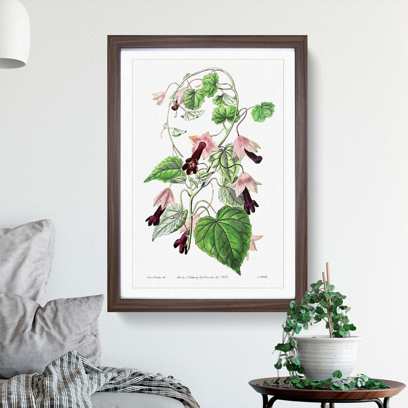 Purple Bell Vine Flowers - Framed Print, 36cm H x 27cm W x 2cm D, Walnut Framed