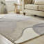 Plush Grey Beige Area Rug-2104987145