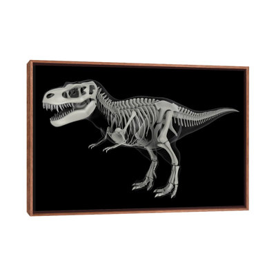 Skeletal System Of Tyrannosaurus Rex, Side View by Stocktrek Images - Floater Frame Print on Canvas
