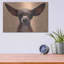 "Chihuahua" par Thomas Fluharty-1534620230