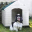 Aunyae Plastic Portable Dog House-1767548959-1767548929
