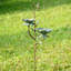 Bird Flower Birdbath