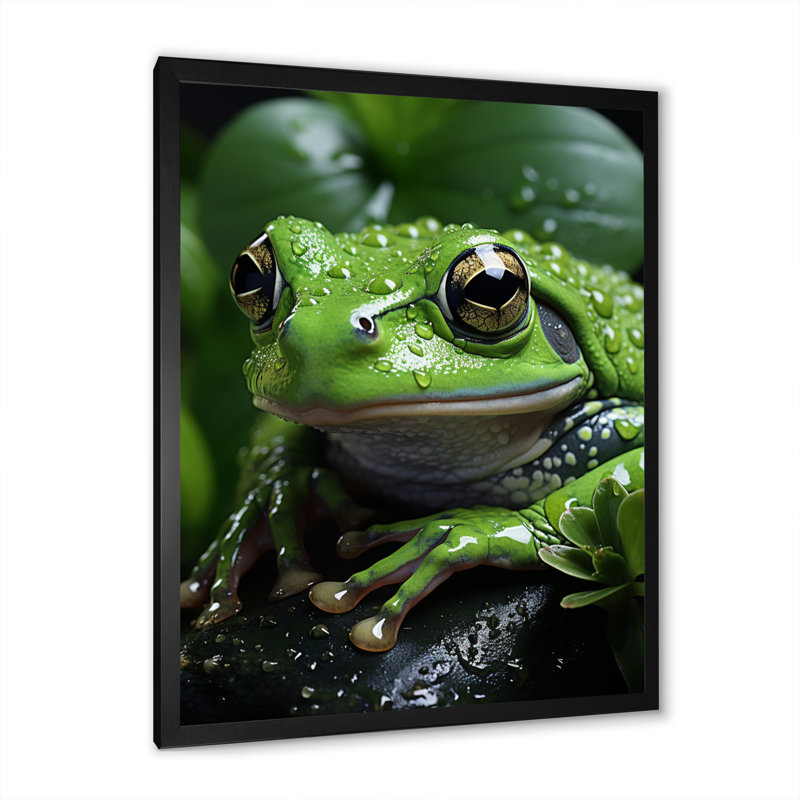 Green Frog Portrait, reproduction d'art sur toile, Cadre noir, H 32 po x l 24 po x P 1 po