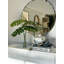 Split Leaf Philodendron In Water-1357594657